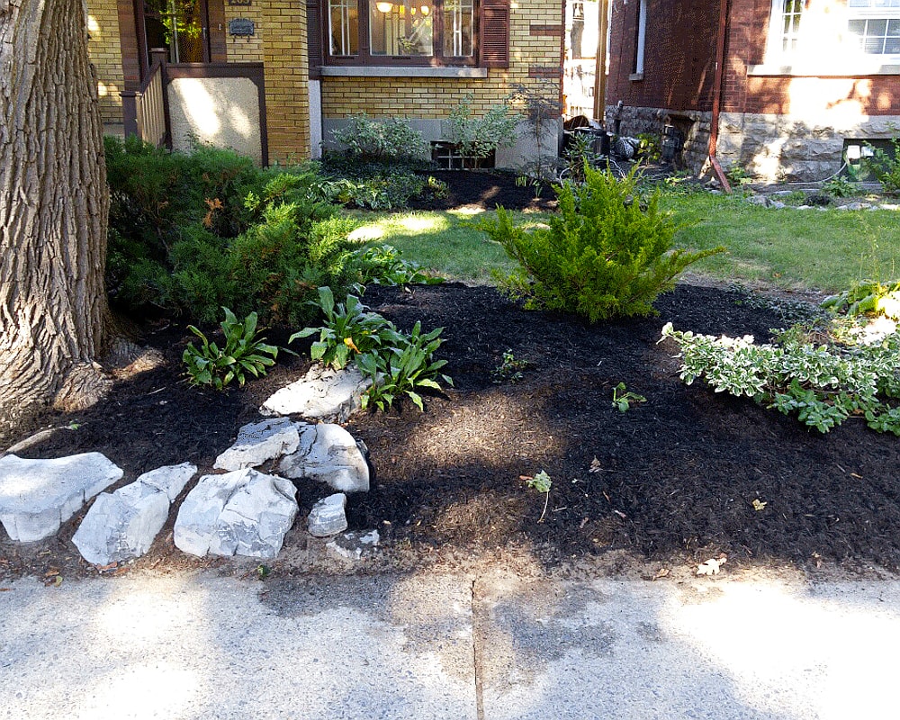 Low maintenance garden design xeriscaping Glebe Ottawa