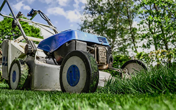 weekly lawn care and lawn moving
